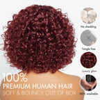 Beginner Friendly Dark Red Water Wave Glueless Minimalist Lace Curly Wig with Bangs
