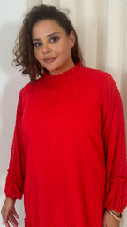 CurveWow High Neck Dobby Mesh Mini Dress Red